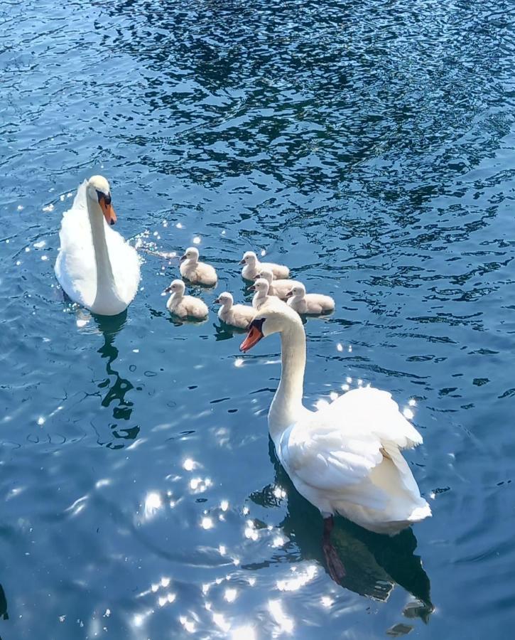 Hotel Garni Bartabel Gargnano Zewnętrze zdjęcie