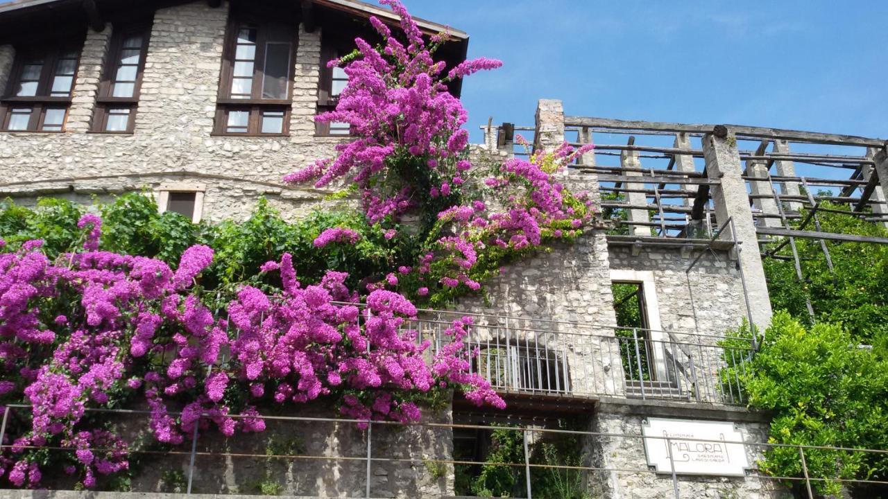 Hotel Garni Bartabel Gargnano Zewnętrze zdjęcie